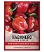 photo Red Habanero Pepper Seeds for Planting 100+ Heirloom Non-GMO Habanero Peppers Plant Seeds for Home Garden Vegetables Makes a Great Gift for Gardeners by Gardeners Basics 2024-2023