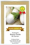 foto: jetzt Aubergine - weiß - rund - italienisch - mittelfrüh - Bianca Tonda - 80 Samen Online, bester Preis 2,39 € neu 2024-2023 Bestseller, Rezension