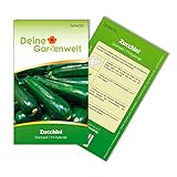 foto: jetzt Zucchini Diamant F1 Samen - Cucurbita pepo - Zucchinisamen - Gemüsesamen - Saatgut für 5 Pflanzen Online, bester Preis 1,99 € (0,40 € / stück) neu 2024-2023 Bestseller, Rezension