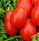 photo: You can buy 250 Roma VF Tomato Seeds | Non-GMO | Heirloom | Instant Latch Garden Seeds | Vegetable Seeds online, best price $6.95 new 2024-2023 bestseller, review
