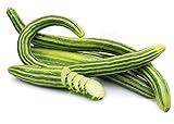 photo: You can buy Armenian Striped Snake Cucumber Seeds - 75+ Seeds online, best price $9.99 new 2024-2023 bestseller, review