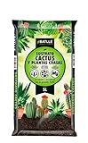 foto: comprar Sustrato Cactus 5l. on-line, mejor precio 3,93 € nuevo 2024-2023 éxito de ventas, revisión