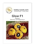 foto: jetzt Glow F1 Kürbissamen von Bobby-Seeds, Portion Online, bester Preis 2,75 € neu 2024-2023 Bestseller, Rezension