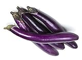photo: You can buy Eggplant Seeds for Planting Vegetables and Fruits(Ping Tung Long Purple Eggplant)for Home Vegetable Garden.Non GMO Heirloom Garden Seeds for Planting Vegetables-50 Ping Tung Long Veggie Seeds屏东茄 online, best price $1.97 ($0.00 / Count) new 2024-2023 bestseller, review