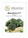 foto: jetzt Kohlsamen Marathon F1 Broccoli Portion Online, bester Preis 2,30 € neu 2024-2023 Bestseller, Rezension