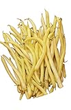 photo: You can buy Burpee Golden Wax Organic Bush Bean Seeds 1 ounces of seed online, best price $7.09 new 2024-2023 bestseller, review