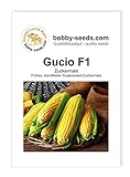 foto: jetzt Gemüsesamen Gucio F1 Zuckermais Portion Online, bester Preis 2,35 € neu 2024-2023 Bestseller, Rezension