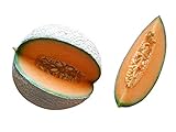 foto: jetzt Melone Cantaloupe 10 Samen (Selten) Sehr Süß Online, bester Preis 1,98 € neu 2024-2023 Bestseller, Rezension