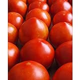 photo: You can buy Early Girl Tomato - One of The Earliest Tomatoes!!!!!!!!!(25 - Seeds) online, best price $3.69 new 2024-2023 bestseller, review