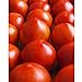 photo Early Girl Tomato - One of The Earliest Tomatoes!!!!!!!!!(25 - Seeds) 2023-2022