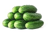 photo: You can buy 50 Straight Eight Cucumber Seeds - Heirloom Non-GMO USA Grown Vegetable Seeds for Planting - Pickling and Slicing Cucumber online, best price $4.99 ($0.10 / Count) new 2024-2023 bestseller, review