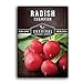 photo Survival Garden Seeds - Champion Radish Seed for Planting - Packet with Instructions to Plant and Grow Red Radishes in Your Home Vegetable Garden - Non-GMO Heirloom Variety 2023-2022