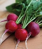 photo: You can buy Burpee Cherry Belle Radish Seeds 1000 seeds online, best price $7.22 ($0.01 / Count) new 2024-2023 bestseller, review