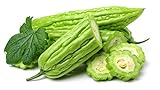 photo: You can buy 120+ Bitter Melon Gourd Seeds for Planting - Balsam Pear - Momordica charantia Bitter Squash - Heirloom Organic Non-GMO Bitter Gourd Vegetable Seeds for Home Garden/Outdoor online, best price $26.23 ($0.22 / Count) new 2024-2023 bestseller, review
