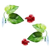 photo: You can buy 2 Pack Betta Fish Leaf Pad Cousduobe Improves Betta's Health by Simulating The Natural Habitat - Natural, Organic, Comfortable Rest Area for Fish Aquarium online, best price $6.98 new 2024-2023 bestseller, review