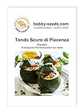 foto: jetzt Kürbissamen Tondo Scuro di Piacenza Zucchini Portion Online, bester Preis 1,75 € neu 2024-2023 Bestseller, Rezension