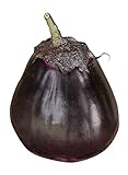 photo: You can buy Burpee Meatball Eggplant Seeds 35 seeds online, best price $9.61 new 2024-2023 bestseller, review