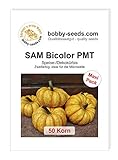 foto: jetzt SAM Bicolor PMT Kürbissamen von Bobby-Seeds 50 Korn Online, bester Preis 4,82 € neu 2024-2023 Bestseller, Rezension