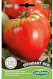 foto: comprar Germisem Oxheart Red Semillas de Tomate 2 g on-line, mejor precio 2,21 € nuevo 2024-2023 éxito de ventas, revisión
