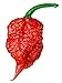 photo Carolina Reaper Seeds - 400 Carolina Reaper Seeds for Planting - Hottest Pepper Seeds - Hottest Chili Pepper in The World - Organic, Non - GMO Carolina Reaper Plant Seeds 2024-2023