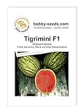 foto: jetzt Melonensamen Tigrimini F1 Wassermelone Portion Online, bester Preis 2,95 € neu 2024-2023 Bestseller, Rezension