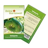 foto: jetzt Freilandsalatgurke Chinese Slangen Samen - Cucumis sativus - Gurkesamen - Gemüsesamen - Saatgut für 10 Pflanzen Online, bester Preis 1,99 € (0,20 € / stück) neu 2024-2023 Bestseller, Rezension