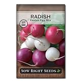 photo: You can buy Sow Right Seeds - Easter Egg Radish Seed for Planting - Non-GMO Heirloom Packet with Instructions to Plant and Grow an Indoor or Outdoor Home Vegetable Garden - Easy to Grow - Great Gardening Gift online, best price $4.99 new 2024-2023 bestseller, review