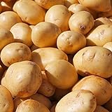 foto: jetzt 10 Stück Kartoffelsamen, einfach zu pflanzen, gesunde Gemüsekartoffeln Gemüsesamen für den Anbau zu Hause Online, bester Preis 12,03 € neu 2024-2023 Bestseller, Rezension