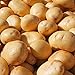 foto 10 Stück Kartoffelsamen, einfach zu pflanzen, gesunde Gemüsekartoffeln Gemüsesamen für den Anbau zu Hause 2024-2023