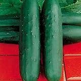 photo: You can buy David's Garden Seeds Cucumber Slicing Dasher II 8811 (Green) 25 Non-GMO, Hybrid Seeds online, best price $4.45 new 2024-2023 bestseller, review