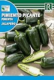 foto: comprar Semilla Pimiento Picante Jalapeño - Rocalba on-line, mejor precio 2,00 € nuevo 2024-2023 éxito de ventas, revisión
