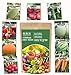 photo Heirloom Vegetable Seeds -9 Variety - Non GMO Vegetable Seeds for Planting Indoor or Outdoors, Tomato, Carrots, Cantaloupe, Cucumber, Green Honeydew Melon, Pumpkin, Watermelon, Cherry Belle Radish, S 2024-2023