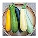 photo David's Garden Seeds Zucchini Summer Melody 9112 (Multi) 50 Non-GMO, Heirloom Seeds 2024-2023