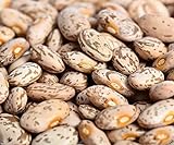 photo: You can buy Pinto Beans Seeds, the Most Common Bean in the US 100 Seeds Heirloom ! online, best price $4.20 ($0.04 / Count) new 2024-2023 bestseller, review