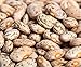 photo Pinto Beans Seeds, the Most Common Bean in the US 100 Seeds Heirloom ! 2024-2023