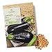foto BIO Aubergine Samen (Black Beauty) - Auberginen Saatgut aus biologischem Anbau ideal für die Anzucht im Garten, Balkon oder Terrasse 2024-2023