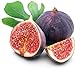 foto 30 Piezas Ideal Púrpura Con Encanto Semillas De Higo Las Frutas Naturales Que Siempre Están Disponibles En Casa Son Una Buena Opción Para Plantar 2024-2023