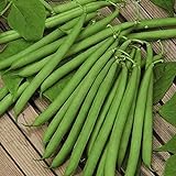 photo: You can buy David's Garden Seeds Bean Bush Harvester 7484 (Green) 100 Non-GMO, Heirloom Seeds online, best price $3.95 new 2024-2023 bestseller, review