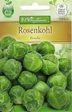 foto: jetzt Chrestensen Rosenkohl 'Rosella' mittelfrühe Sorte Online, bester Preis 1,89 € neu 2024-2023 Bestseller, Rezension