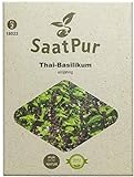 foto: jetzt SaatPur Thai-Basilikum Samen für ca. 150 Pflanzen Online, bester Preis 3,99 € neu 2024-2023 Bestseller, Rezension