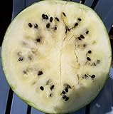 photo: You can buy Cream of Saskatchewan Heirloom Watermelon (Certified Organic Seeds) by Stonysoil Seed Company online, best price $7.95 new 2024-2023 bestseller, review