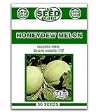 photo: You can buy Honeydew Melon Seeds - 50 Seeds Non-GMO online, best price  new 2024-2023 bestseller, review