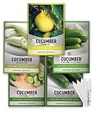 photo: You can buy Cucumber Seeds for Planting Outdoors 5 Variety Pack Armenian, Boston Pickling, Lemon, Spacemaster, Straight Eight Veggie Seeds by Gardeners Basics online, best price $10.95 new 2024-2023 bestseller, review