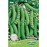 foto: comprar Germisem Telephone Semillas de Guisantes 100 g on-line, mejor precio 3,43 € nuevo 2024-2023 éxito de ventas, revisión