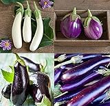 photo: You can buy David's Garden Seeds Collection Set Eggplant 4432 (Multi) 4 Varieties 200 Non-GMO, Open Pollinated Seeds online, best price $16.95 ($4.24 / Count) new 2024-2023 bestseller, review