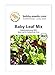 foto BIO-Salatsamen Baby Leaf Pflücksalat Portion 2022-2021