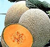 photo: You can buy Hale's Best Jumbo Cantaloupe Seeds - 50 Seeds Non-GMO online, best price $1.49 ($0.03 / Count) new 2024-2023 bestseller, review
