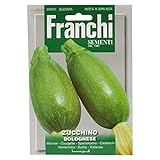 foto: jetzt Franchi Samen Zucchini Bolognese Online, bester Preis 3,00 € neu 2024-2023 Bestseller, Rezension