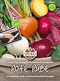 foto: jetzt 82440 Sperli Premium Rote Bete Samen Mix | Best of Rote Bete | 3 Sorten | Rote Beete Saatgut Online, bester Preis 6,47 € neu 2024-2023 Bestseller, Rezension
