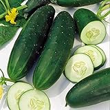 photo: You can buy Cucumber, Straight Eight Cucumber Seeds, Heirloom, 25 Seeds, Great for Salads/Snack online, best price $1.99 ($0.08 / Count) new 2024-2023 bestseller, review